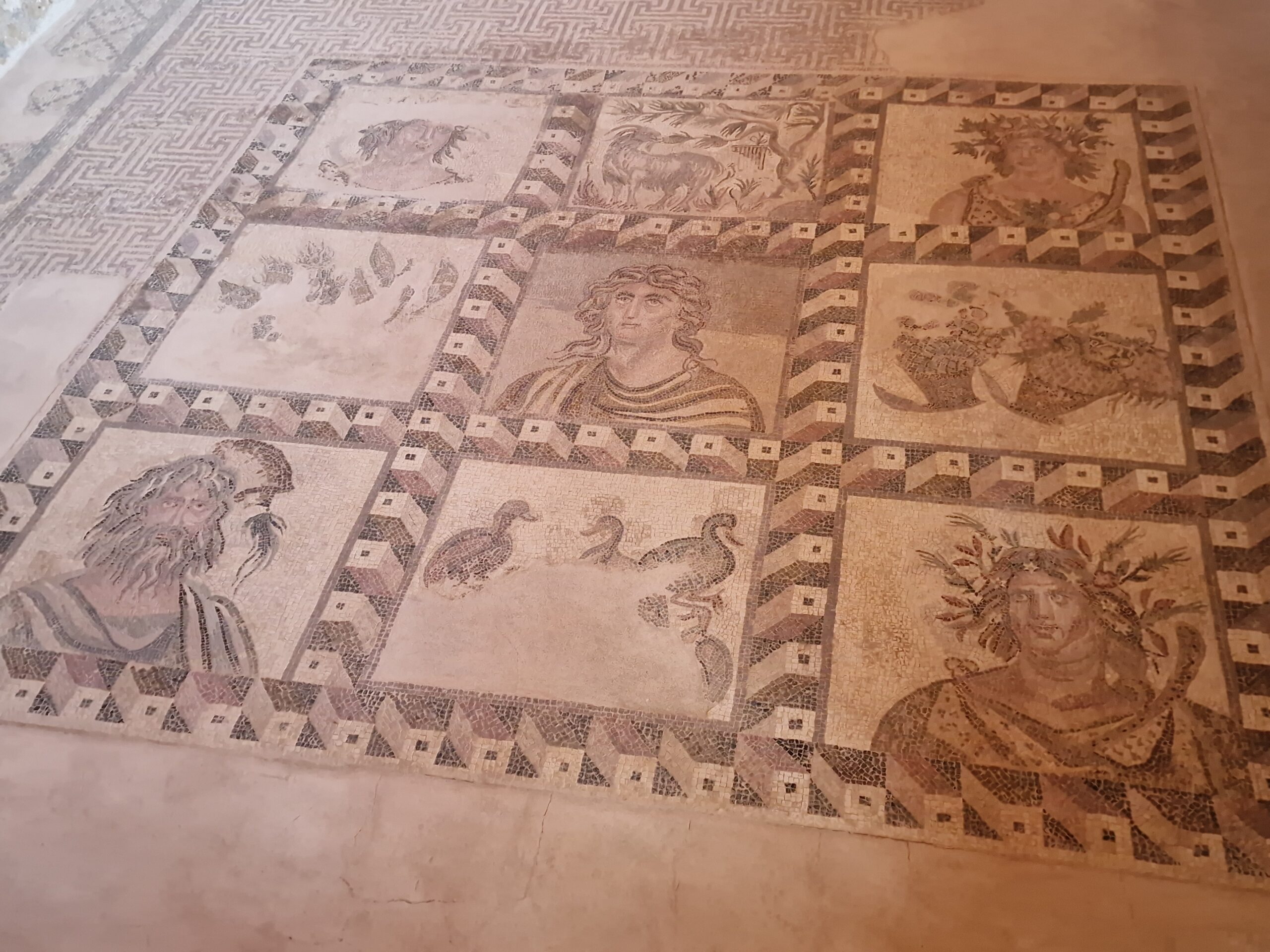 Mosaics - Paphos Archaeological Park
