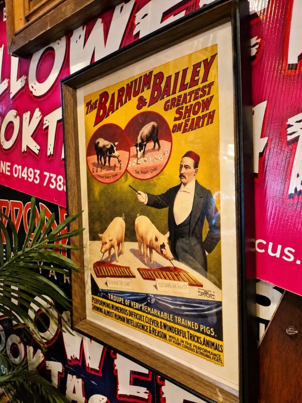 ...Great Yarmouth's Hippodrome Circus